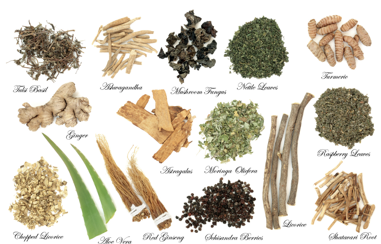 Picture of dried herbs with adaptogenic effects demonstrating the benefits of adaptogens for mental well being.